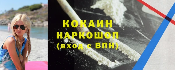 трава Пересвет