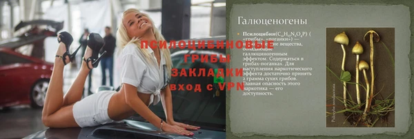 трава Пересвет