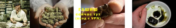 трава Пересвет