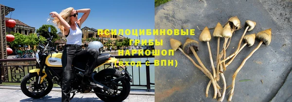 трава Пересвет