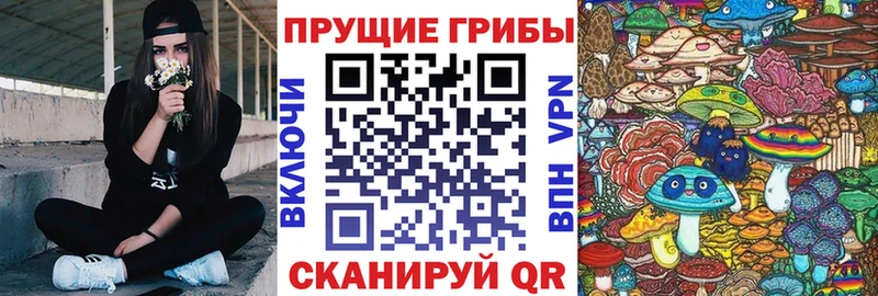 Галлюциногенные грибы Cubensis  Ступино 